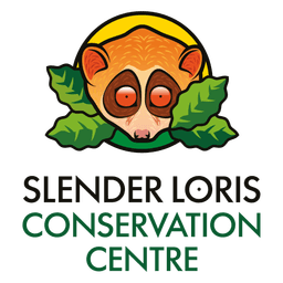Slender Loris Logo