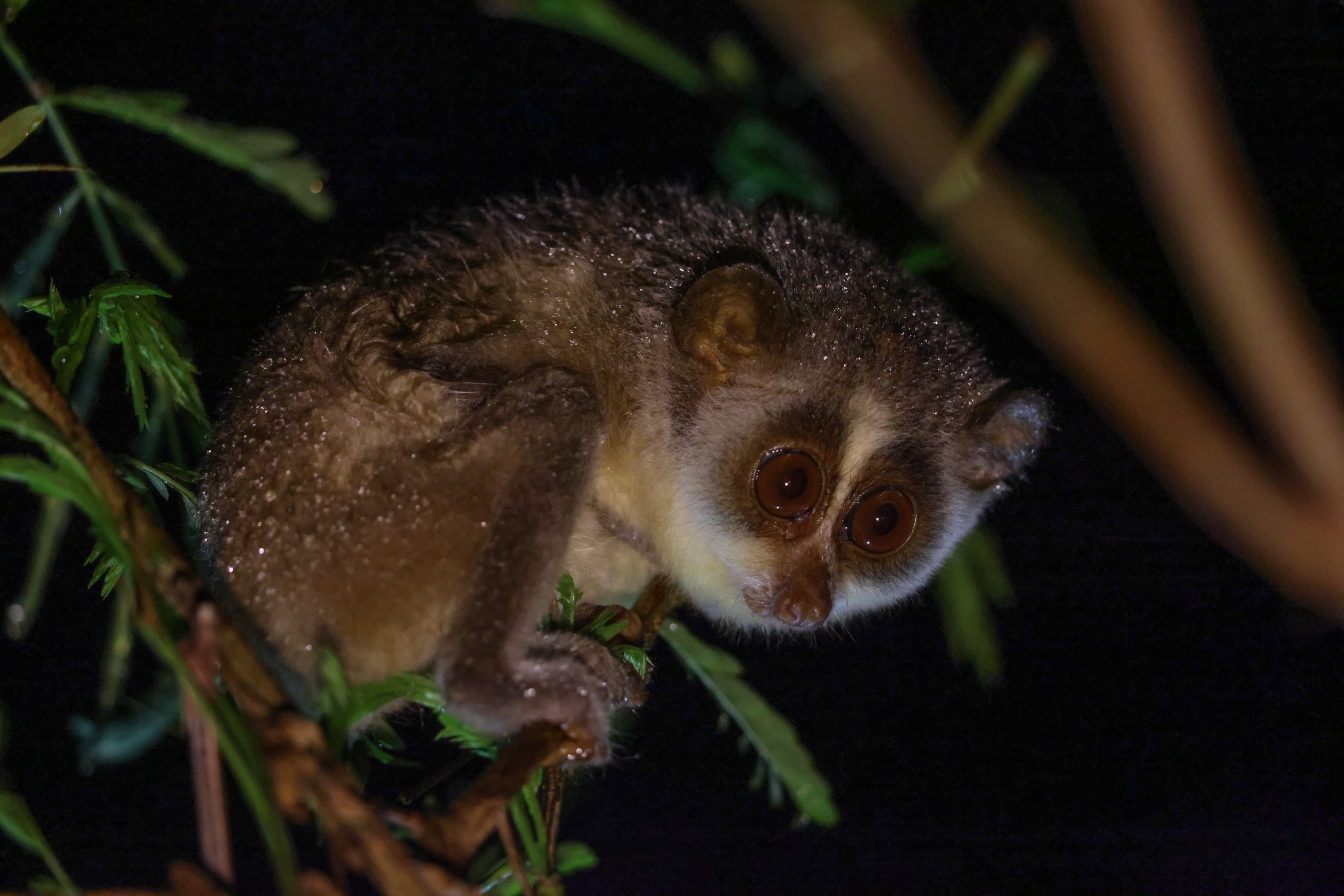 Sanctuary Visitor Guidelines