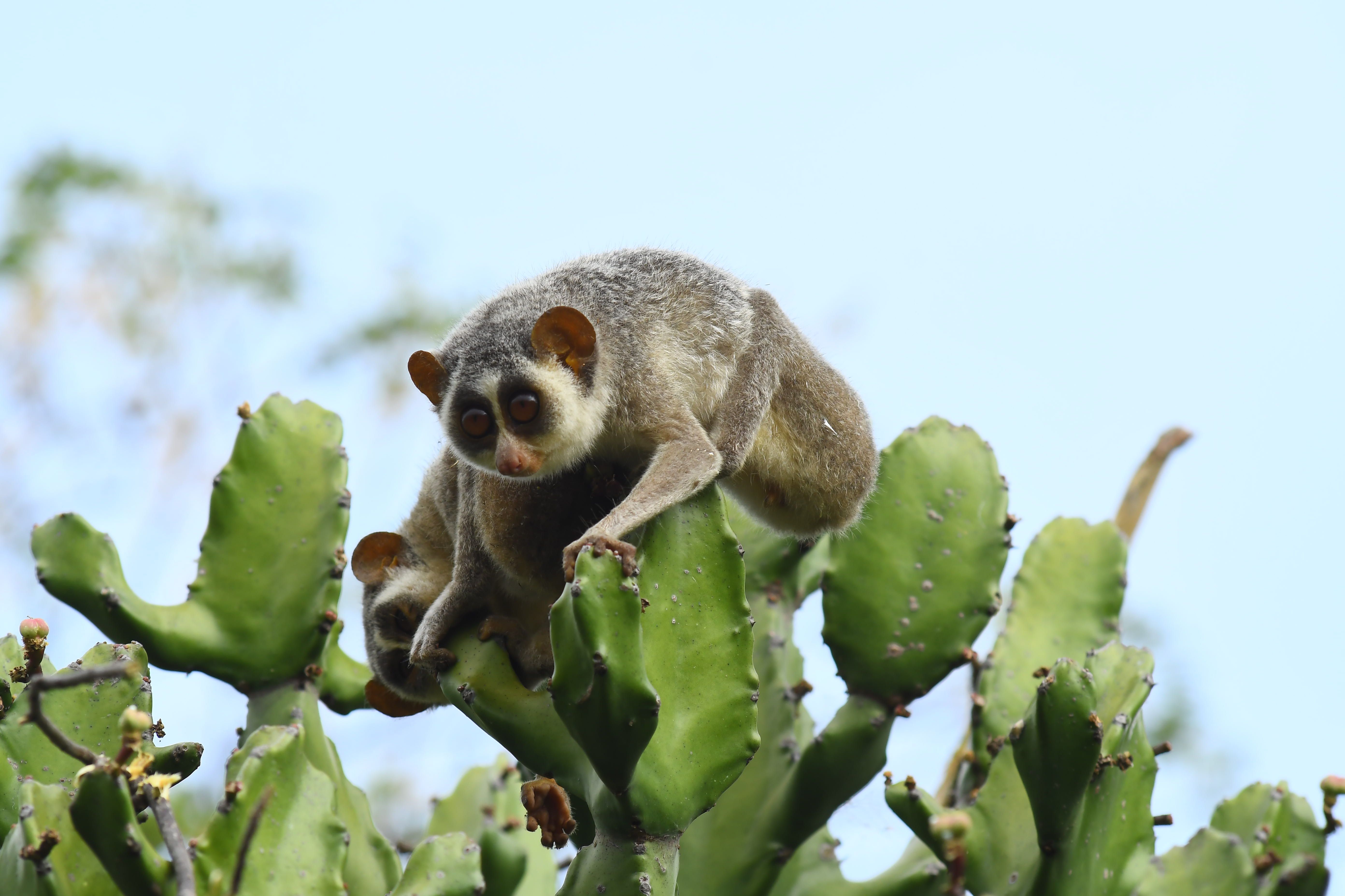 Visitor Amenities & Community